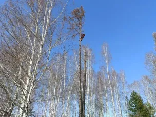 Уборка территории кладбища с. Вад.